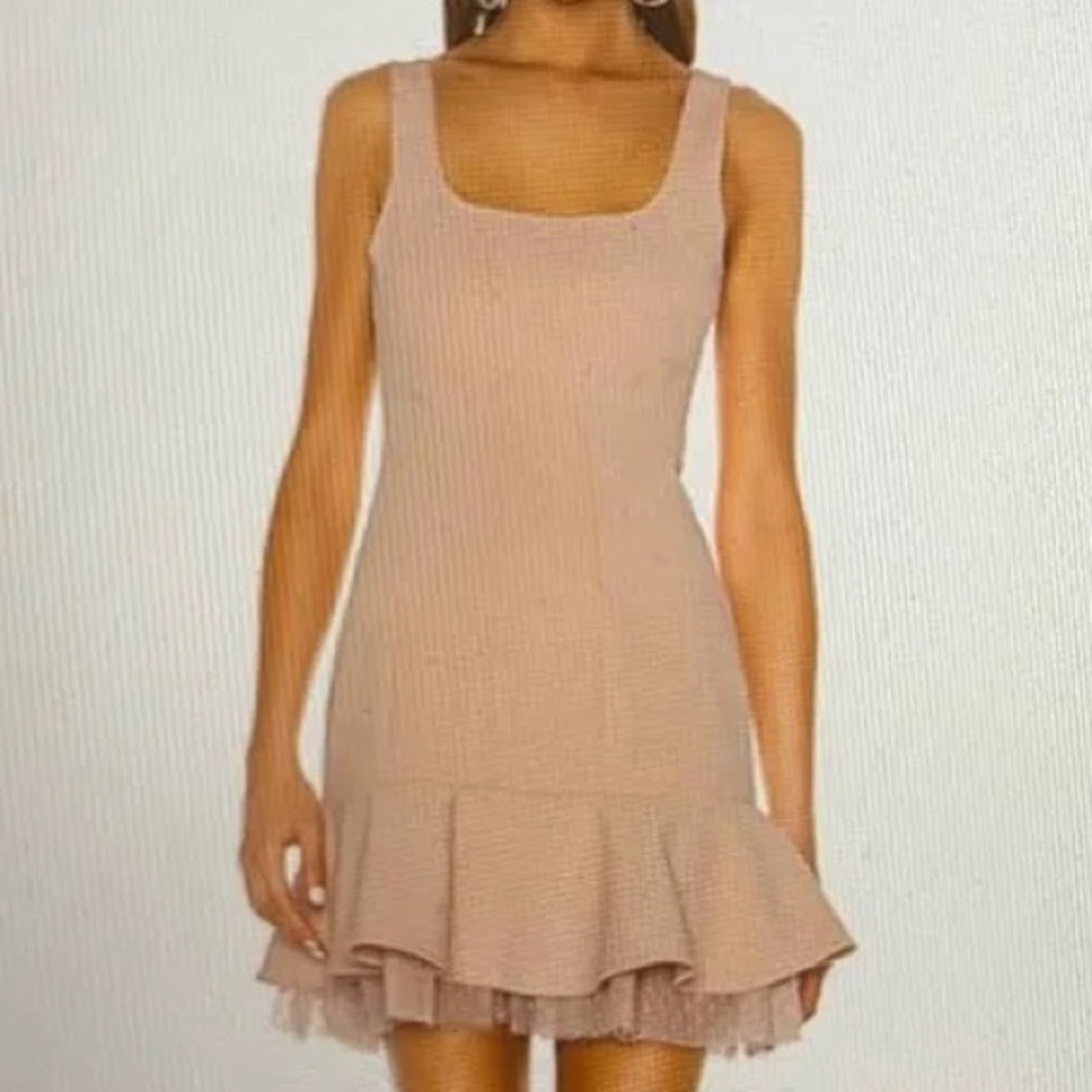NWT BCBGMAXAZRIA Bare Pink Ruffle Hem Tulle Trim Mini Dress Size 8